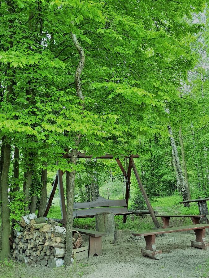 Agroturystyka "Pod Lysica" Swieta Katarzyna  Luaran gambar